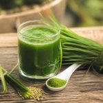Barley : bienfaits, usages et conseils pour l’intégrer à votre alimentation biologique