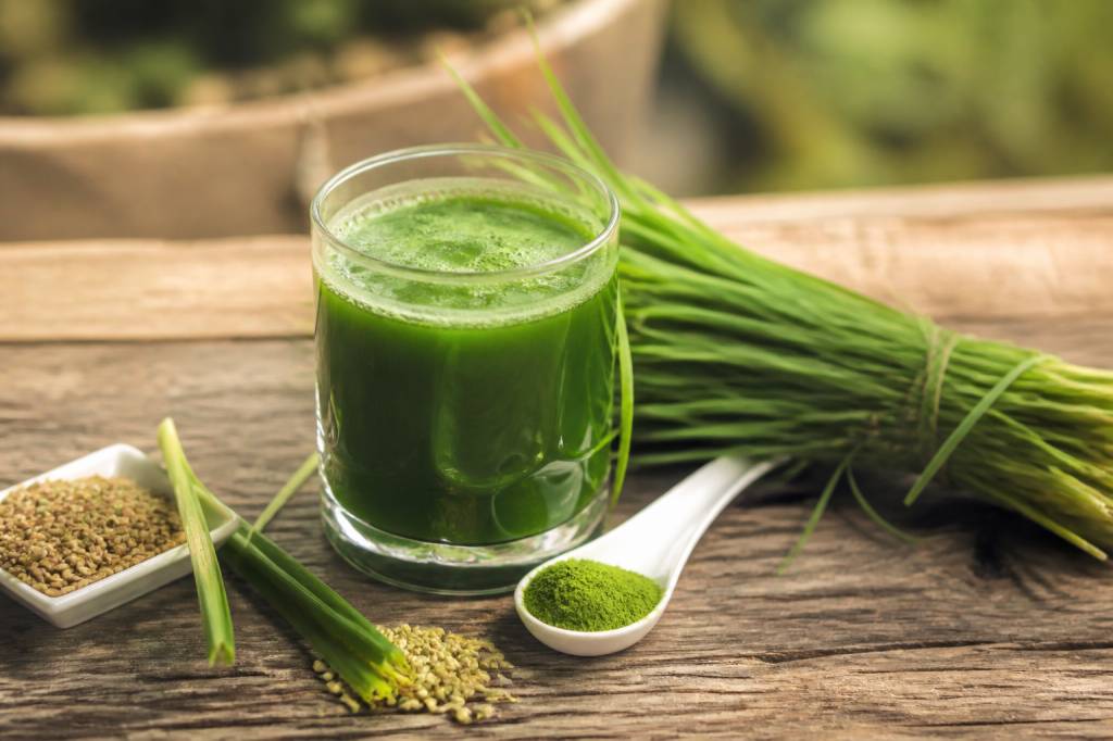 Barley : bienfaits, usages et conseils pour l’intégrer à votre alimentation biologique